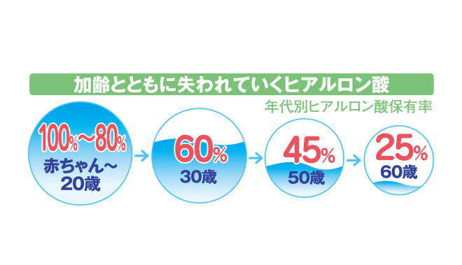 ヒアルロン酸保有率図